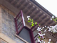 -武汉大学-樱园