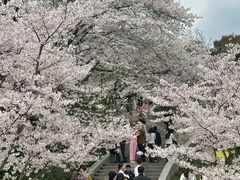 -杭州少年儿童公园