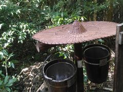 -七仙岭温泉国家森林公园