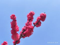 -洛龙公园