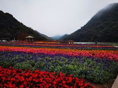 -广州市石门国家森林公园