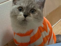 -瑞鹏宠物医院·骨科·猫科·内科(第一中心)