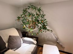 -麦子MaiMassage(打浦桥店)