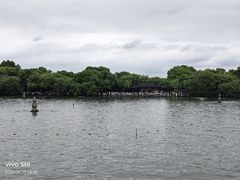 -西湖游船