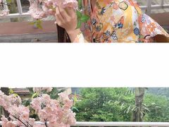 -重庆南山海昌汤都