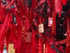 -铜川市金锁关石林