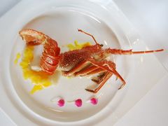 龙虾仔-天禄华美达广场酒店-雅兰轩中餐厅(青年路店)