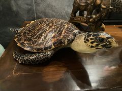 -Angkor SPA 柬埔寨古法按摩(环贸店)