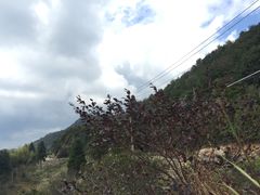 -玉苍山国家森林公园