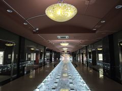 -青岛贝壳博物馆