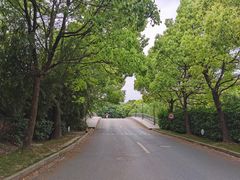 -上海佘山世茂艾美酒店