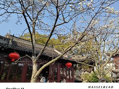 -豫园