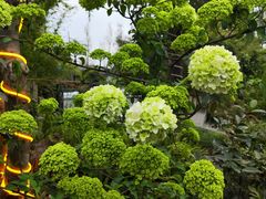 -三圣花乡旅游区