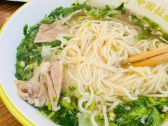 -丝路传奇·中国拉面航母店(北医三院店)
