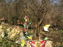 iphone_upload_pic-天目湖山水园