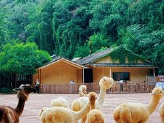 -昆明青龙峡风景区