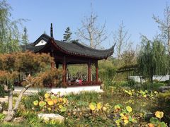 -武清南湖绿博园