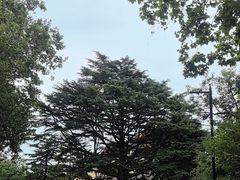 -青岛德国总督楼旧址博物馆