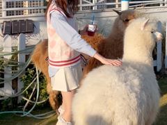 -Blue Concept Cafe&Farm·關於藍