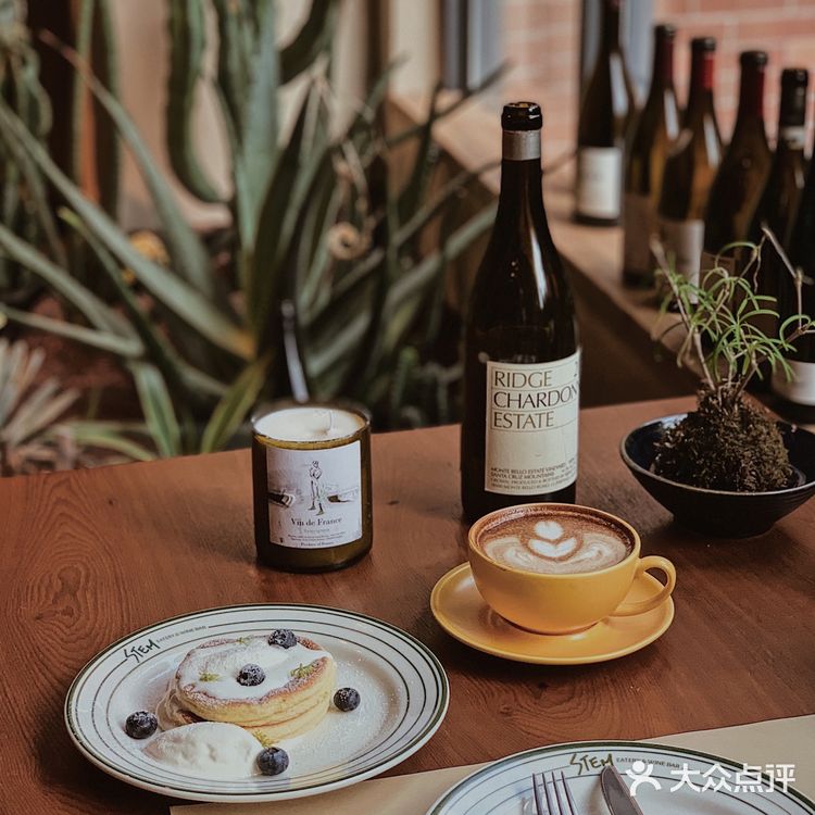 广州新店|远离城市喧嚣🍃来一份森系下午茶