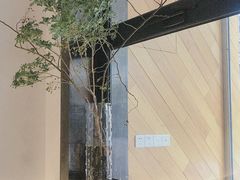 -森Some Fusion(荔湾店)