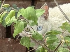 -达爱动物医院·犬猫分区·CT·复杂眼科(远洋山水分院)