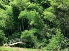 -宁波浙东大竹海景区