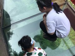 -十渡东湖港风景区