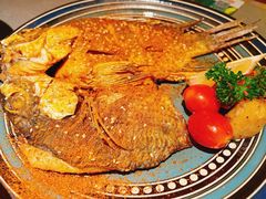 -塔哈尔·新疆盛宴(奉贤龙湖店)