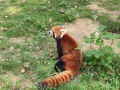 -常州淹城野生动物世界