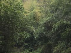 -紫金山天文台