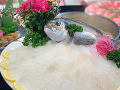 -行家海鲜火锅酒家(静安寺店)
