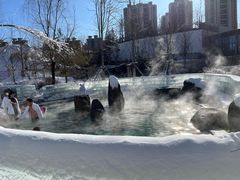 -清河半岛温泉度假酒店