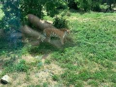 -西安秦岭野生动物园