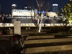 -白玉兰食品(甜云店)