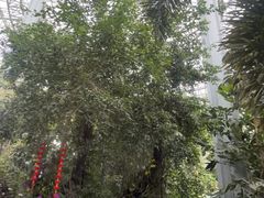 -郑州植物园