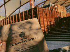 -怀托摩萤火虫洞