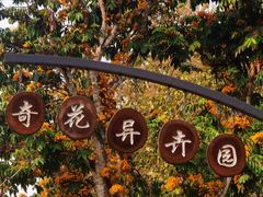-中国科学院西双版纳热带植物园