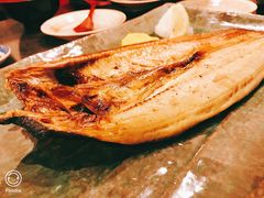 烤金吉鱼-札幌二条市场 大矶(本店)