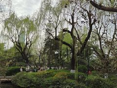 -济南大明湖景区