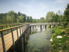 -东郊湿地公园