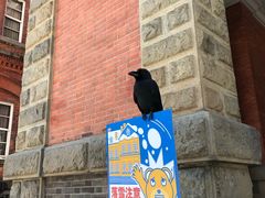 -北海道厅旧本厅舍(旧本庁舎)