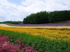 -富田农场