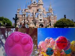 -上海迪士尼度假区