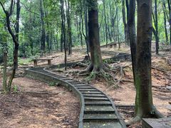-火炉山森林公园