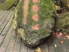 -莫干山风景区