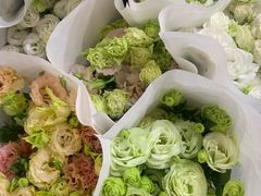 -循礼门鲜花花市(武汉循礼门店)