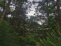 -红螺寺