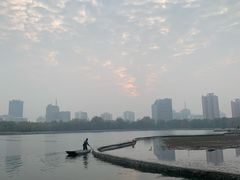 -莲花池公园