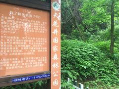 -天花井景区